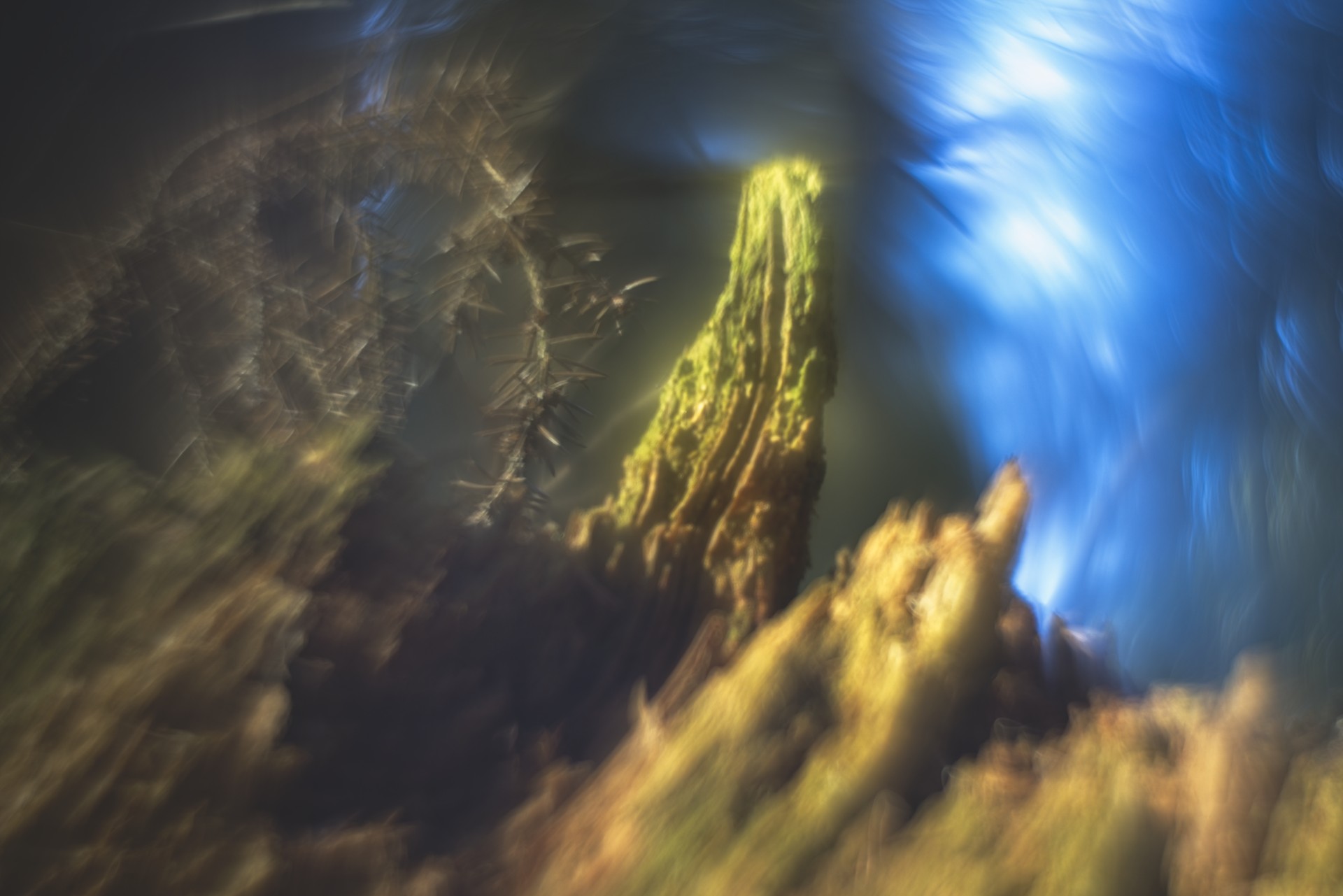 kuva